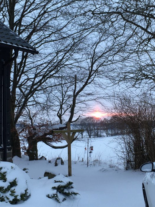 Snötäckt trädgård vid skymning med solnedgång i bakgrunden, i Skåne.