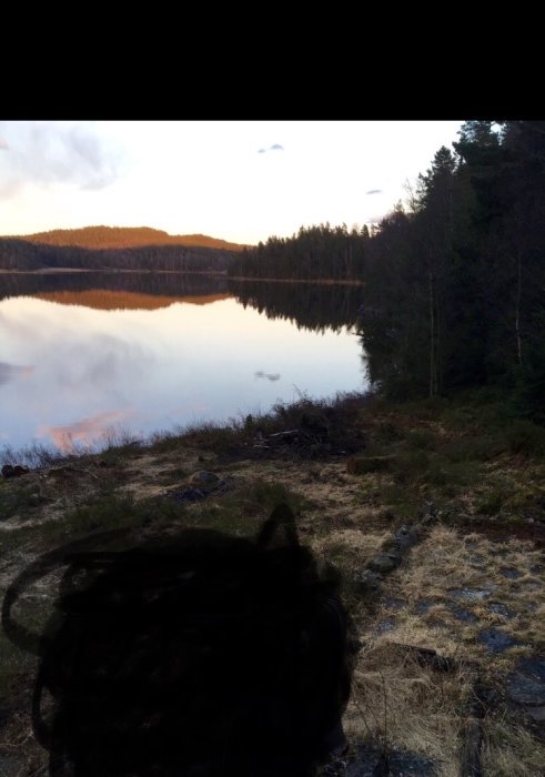 Vy över en stilla sjö med skogsbeklädda kullar i bakgrunden under morgonljus.