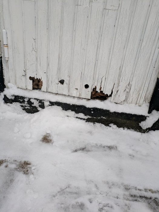 Träskadad vit dörr med hål nära botten mot en snötäckt mark.