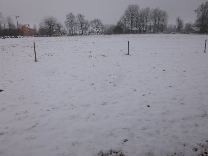 Snötäckt landskap med staketstolpar och hus i bakgrunden på en gråmulen dag.