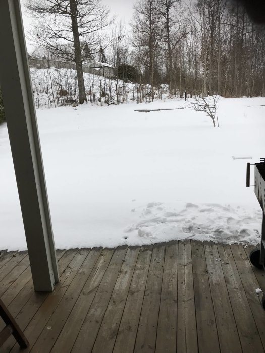 Alt: Träaltangolv nära markytan med snötäckt trädgård i bakgrunden.