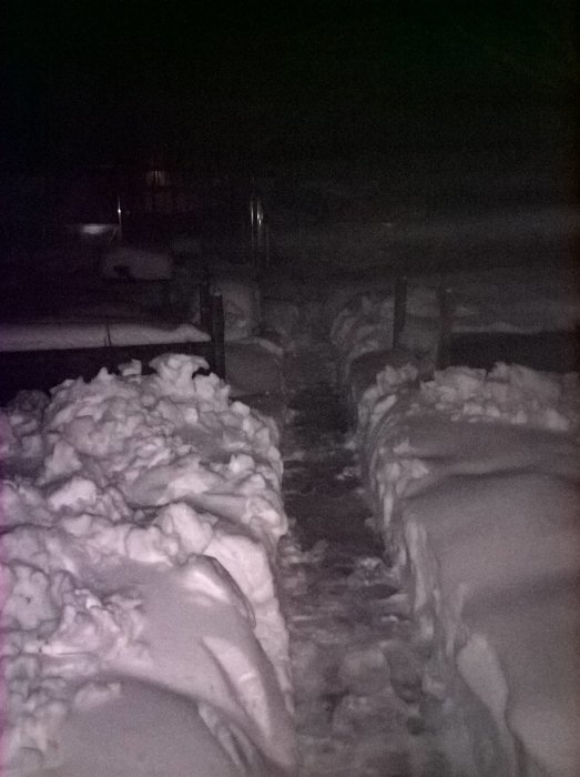 Snötäckta odlingslådor på natten med en uppskottad gång mellan dem.