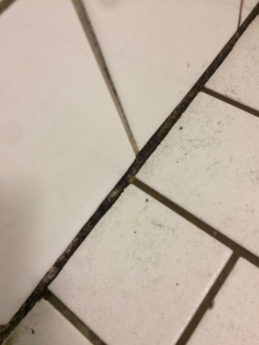 Närbild på ett badrumsgolv med vita kakelplattor och svartmögel i fogarna, synliga skador nära golvbrunnen.