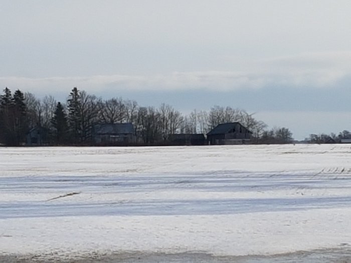 Vinterlandskap med byggnader mellan träd synliga i fjärran bortom ett snötäckt fält.