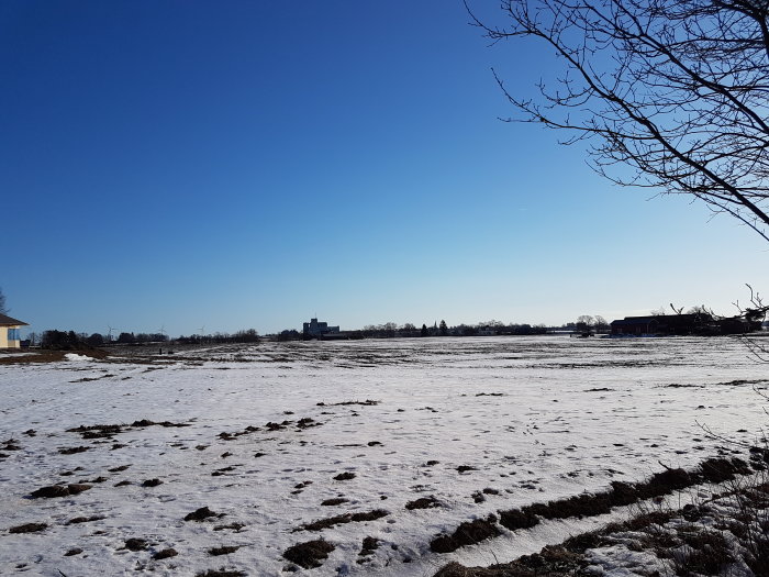 Vinterlandskap med snötäckt mark och hus i bakgrunden under en klarblå himmel.