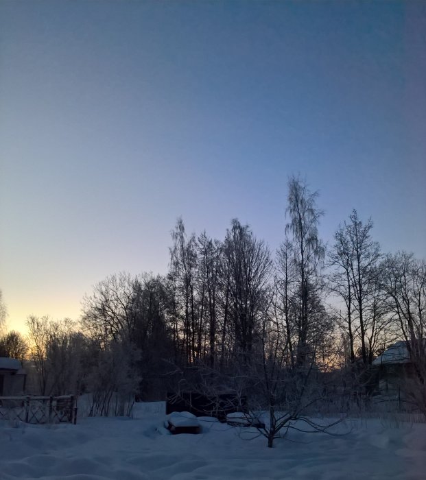 Vinterlandskap vid gryning med snötäckt mark och träd mot en ljusnande himmel.