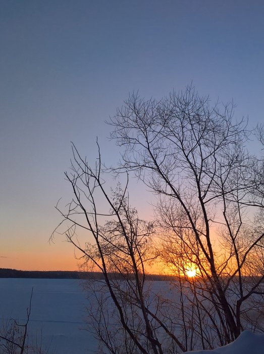 Soluppgång över en snötäckt sjö med silhuetter av träd utan löv.