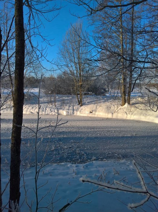 Frusen bäck omgiven av snötäckta träd och mark i Dalarnas vinterlandskap, under en klarblå himmel.