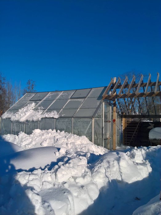 Ett växthus omgivet av uppshovlad snö i ett vinterlandskap under en klarblå himmel.