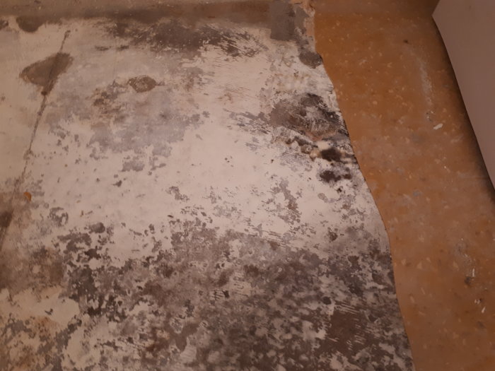 Golv i källartvättstuga med bortriven plastmatta, synliga limrester, mattbitsrester samt vitt pulver.