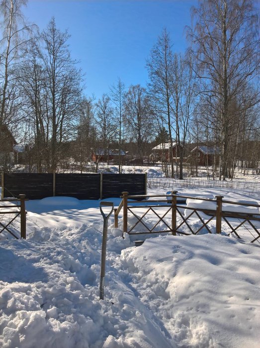 Altan delvis skottad med snö och spade, snöiga träd och klarblå himmel i bakgrunden.