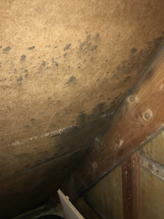 Fuktskador och mögelfläckar på vindens träbjälkar och isolering.