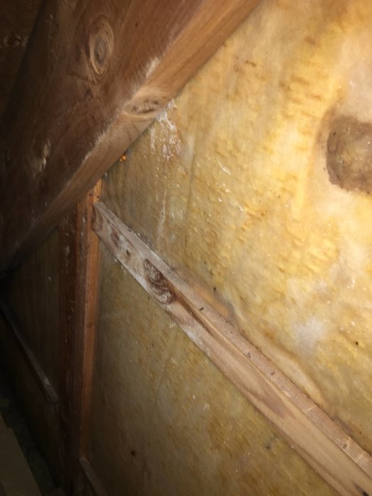 Blöt isolering på vind med mörka fläckar och sprucken plast, tecken på fuktskador.