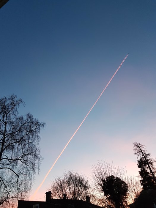 En rosa färgad flygplansavgasstråle mot en blårosa himmel vid skymningen med silhuetter av träd och ett hus.