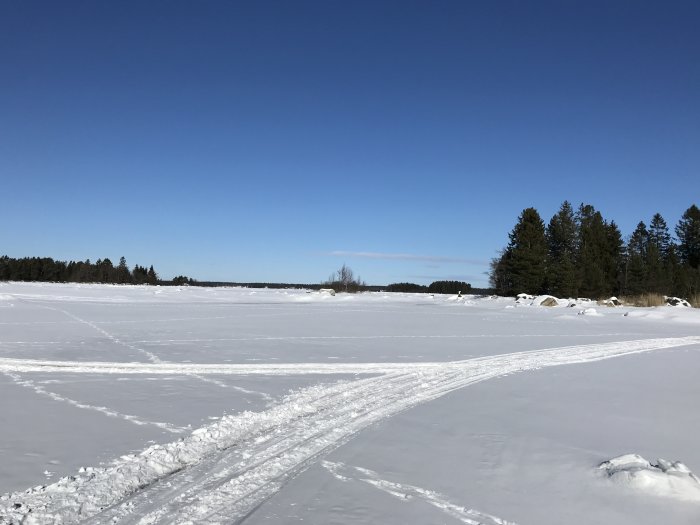 Vinterlandskap med snötäckt hav och spår efter promenad på isen, klarblå himmel i bakgrunden.