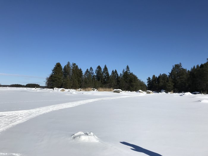 Täckt havslandskap med snö, träd i bakgrunden och klarblå himmel under morgonpromenad.