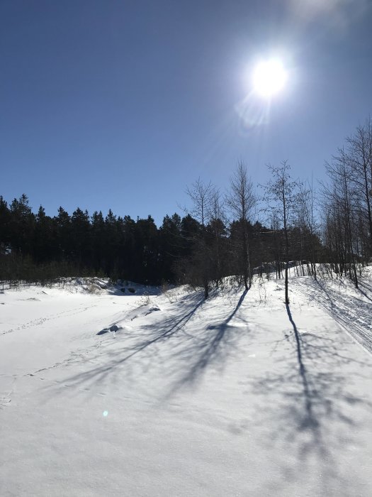 Vinterlandskap med snötäckt mark, träd och solstrålar på en klarblå himmel.