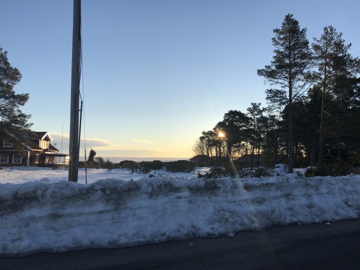 Morgonsol skiner genom träd bakom en gammal stolpe, med snötäckt mark i förgrunden.