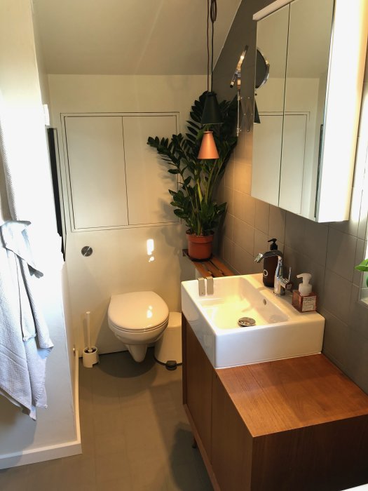 Renoverat badrum med toalett, handfat på träkommod, spegel och gröna växter.