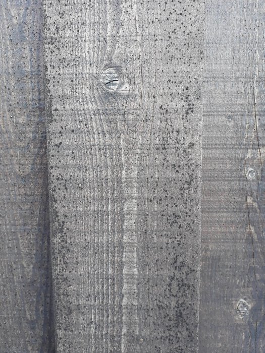 Fasadpanel målad med grå lasyr och mögelprickar synliga, behöver underhåll.