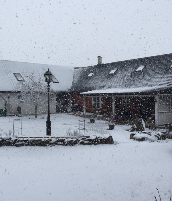 Snöfall över en trädgård och ett hus med förvånad över oväntat vinterväder.