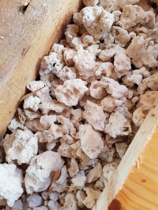 Gamla vitaktiga isoleringsmaterialbitar blandat med sågspån under ett trägolv, blir till pulver vid tryck.