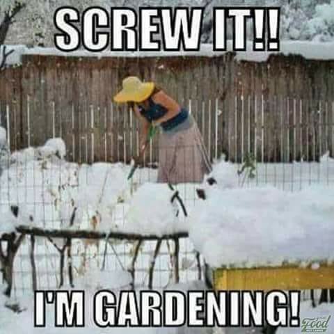 Person i trädgårdshatt böjer sig över snötäckt trädgårdsland med texten "SCREW IT!! I'M GARDENING!