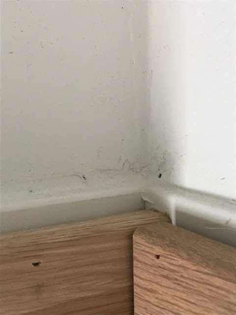 Hörn av ett rum där väggmålningen uppvisar fläckar och skador vid golvlister och vägghörn.