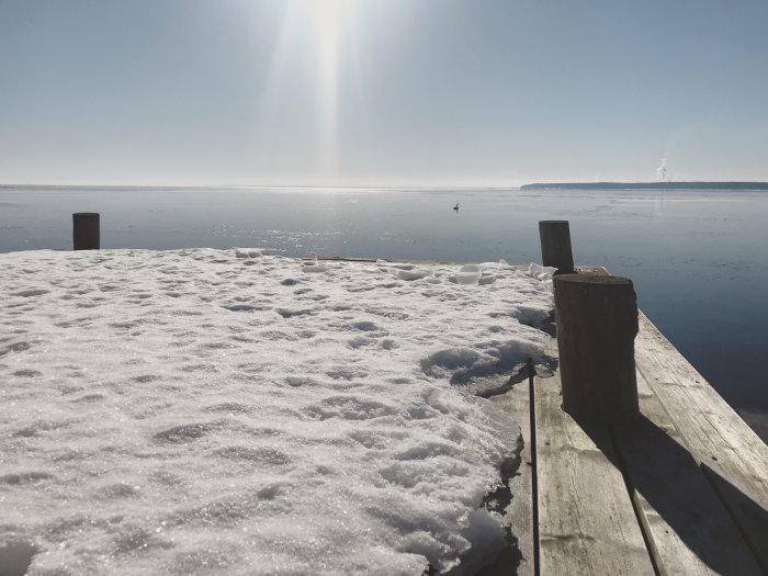 Snötäckt brygga som leder ut till en frusen sjö med en svan i det öppna vattnet under en solig himmel.