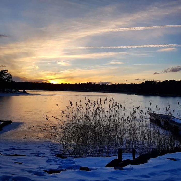 Solnedgång över en frusen sjö i Gryts Skärgård med snö, vass och brygga.