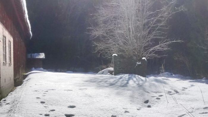 Delvis synlig gammal murad ruin i snötäckt landskap, bakom röd lada med träd i bakgrunden.