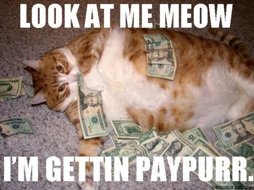 Katt som ligger på rygg omgiven av sedlar, med texten "Look at me meow I'm gettin paypurr.