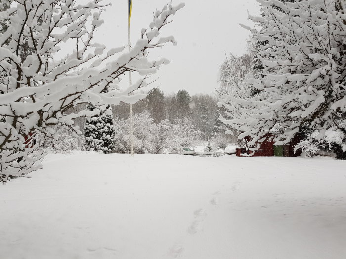 Vinterutsikt från en pardörr visar en snötäckt trädgård med träd och fotspår som leder mot en parkerad bil i bakgrunden.