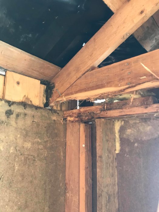 Renoveringsprojekt visar träreglar och skadad asfaltsboard i väggen med synligt tak ovanför.