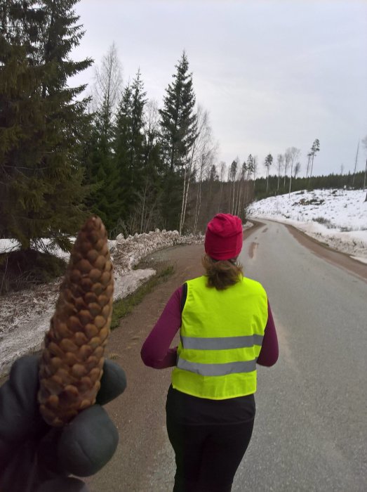 Person i reflexväst och röd mössa på en väg, hand håller en kotte framför kameran.