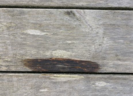 Trall med flera gråa plank och en mörk fläck som kan tyda på röta, nära mitten på en plank.