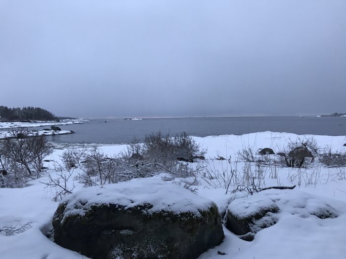 Vinterlandskap med snötäckt mark och stenar framför mörkt hav och dimmig himmel.