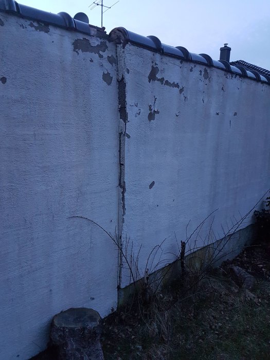 Betongvägg med sprickor och flagande färg längs en vertikal fog, övervuxen vegetation, staket och en stubbe i förgrunden.