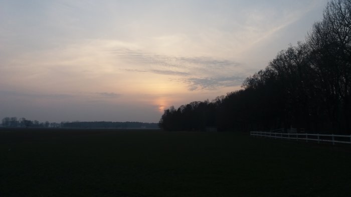 Solnedgång över ett öppet fält med silhuetten av en skog och ett vitt staket.