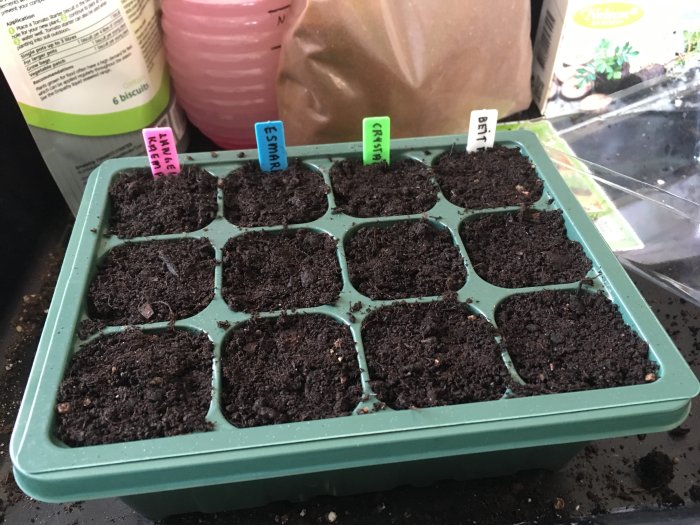 Plantkruka med fuktig jord och namnskyltar för gurka och pumpa sorter inför plantering.