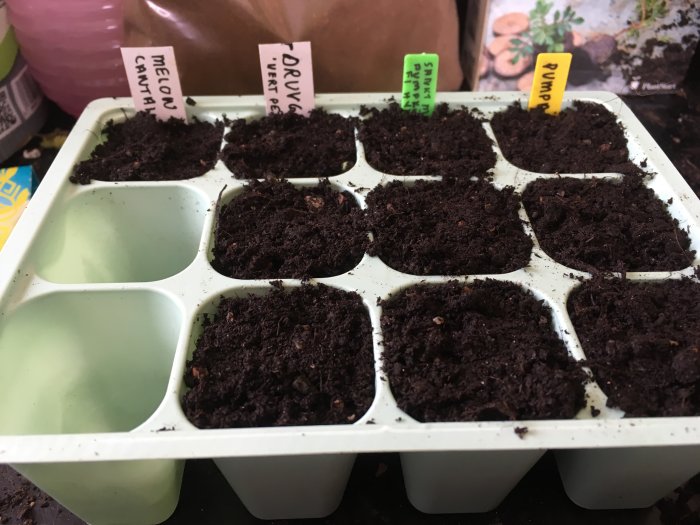 Planteringsbricka med jord och etiketter för odlade sorter inklusive melon och gurka.