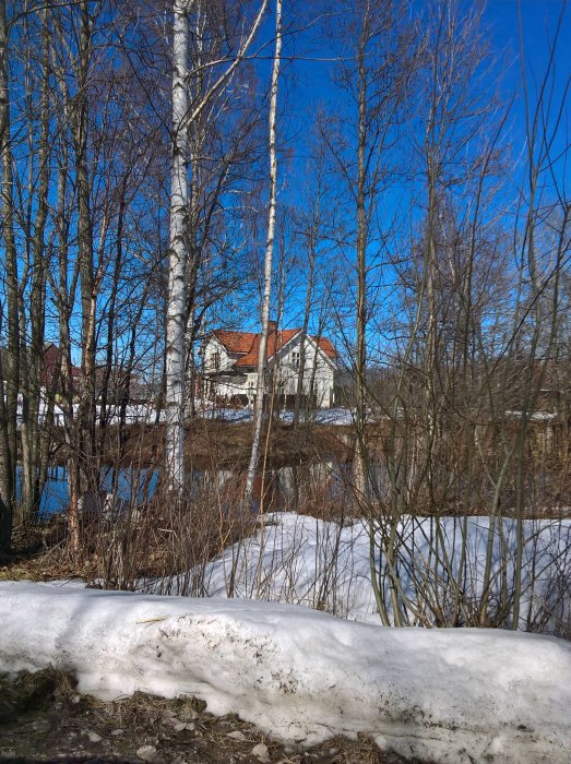 Vårliknande landskap med smältande snö framför träd och en husfasad i bakgrunden under en klarblå himmel.
