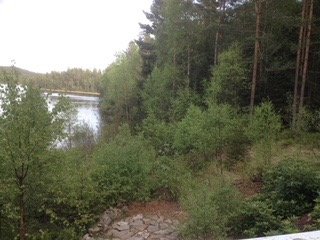 Busktäckt terräng med stenar framför en skog nära en sjö, från en renoveringstråd om ett barndomsställe.