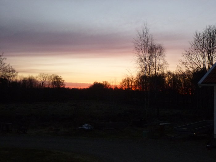 Morgonhimmel med rödaktig soluppgång och silhuetter av träd vid 05:50, förutspår blåsigt väder.