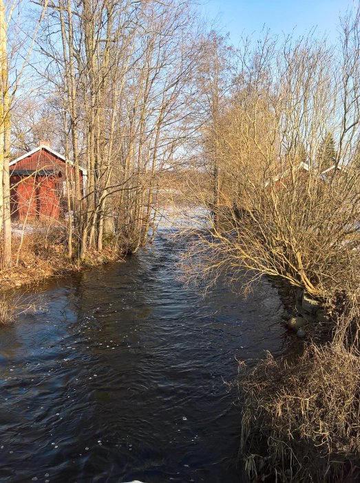 En solbelyst flod omgiven av lövträd utan löv och en röd stuga i bakgrunden, markerande en snöfri bydel.