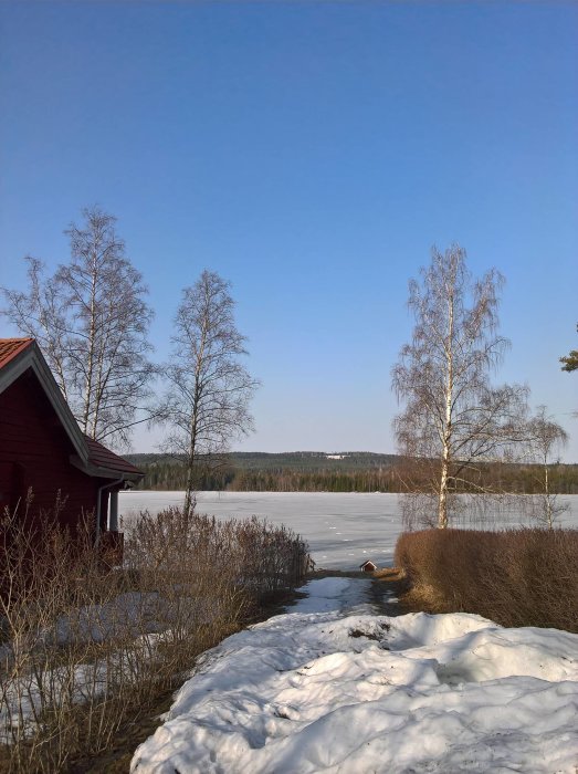 Vy över en snöbelagd landsväg bredvid en röd stuga med en frusen sjö och björkträd i bakgrunden.
