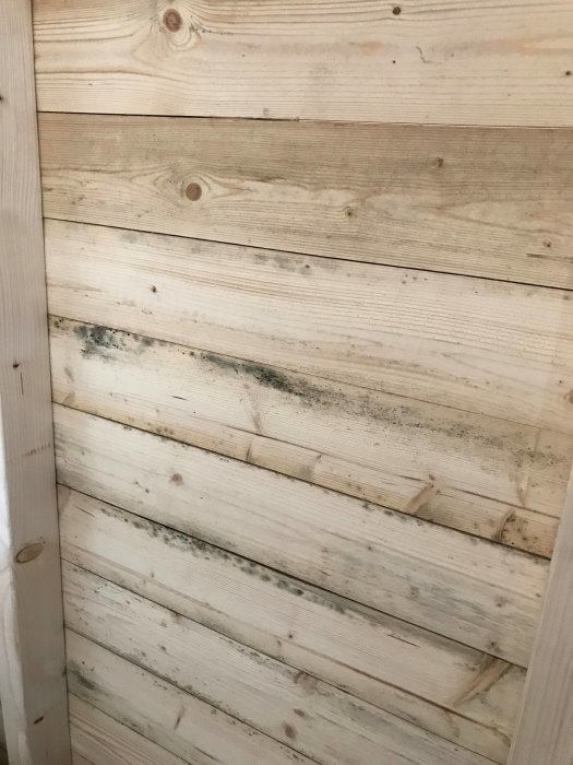 Vägg av råspont med mögel, synliga reglar, utan ventilation i kallförråd.