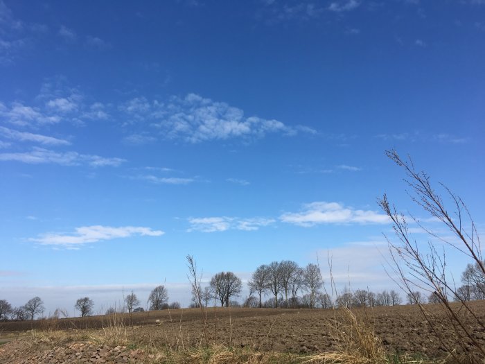 Lantligt landskap med bar jord, trädkonturer och ljusblå himmel med vita moln.