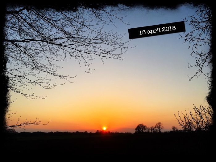 Solnedgång med trädgrenar i silhuett och datumet "18 april 2018" i övre delen av bilden.
