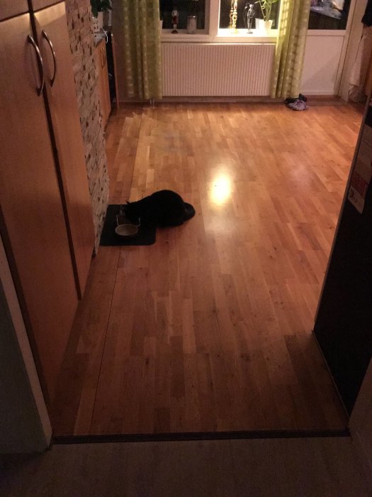 Nylagt trägolv i kök med en svart katt som äter vid matskålen.